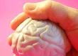 Brain Size and Longevity