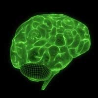 Brain Skills Intelligence Smart Smarter