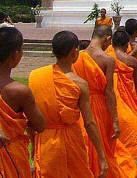 Monks Meditation Brain Brain Skills
